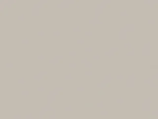 wall greige swatch