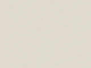 wall plaster ivory swatch